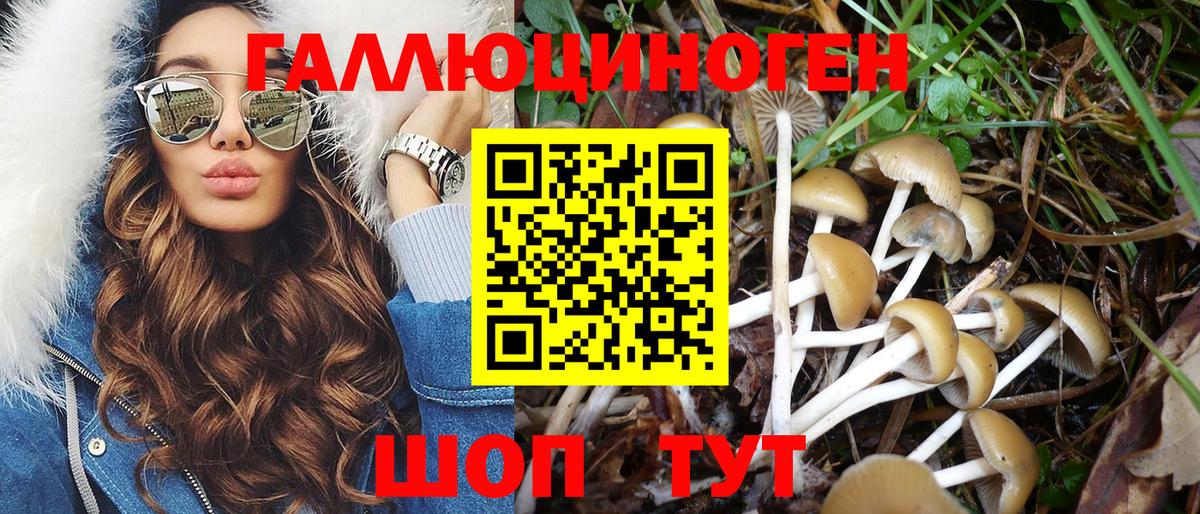 Галлюциногенные грибы мицелий Рубцовск