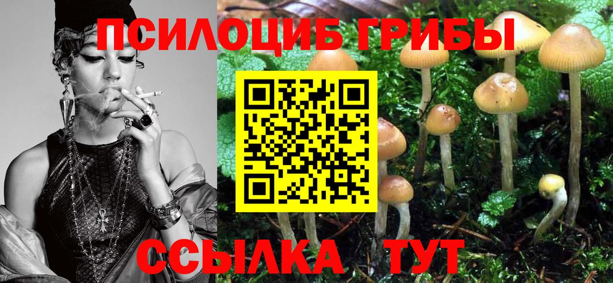 Галлюциногенные грибы Psilocybe  Псилоцибиновые грибы мухоморы  Вход с VPN  Рубцовск 